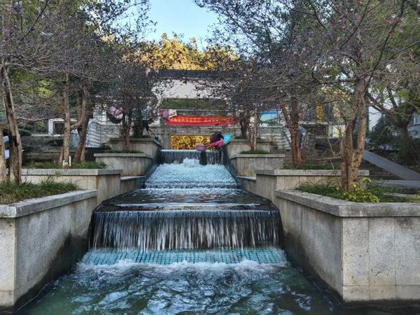 小区里的景色