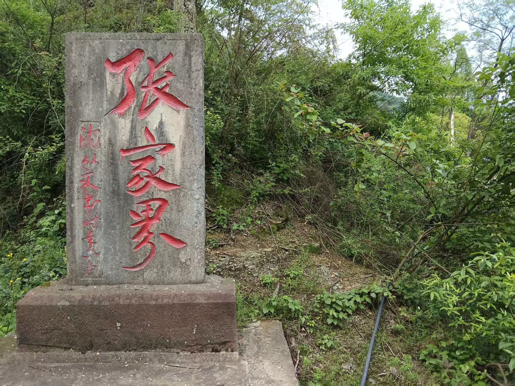 行走的秋风